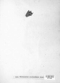 Stereocaulon condyloideum image